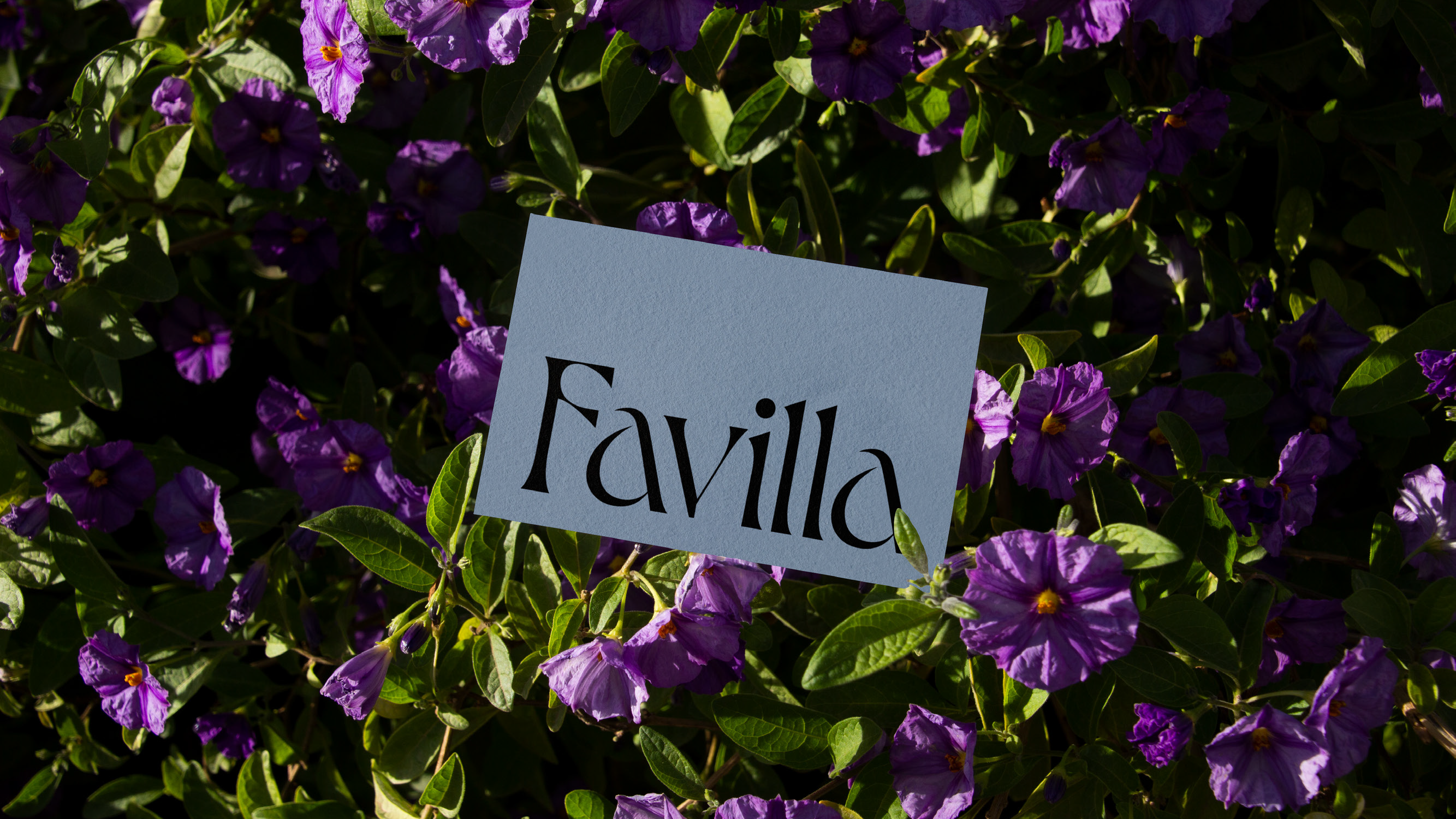 Galeria - FAVILLA - 30