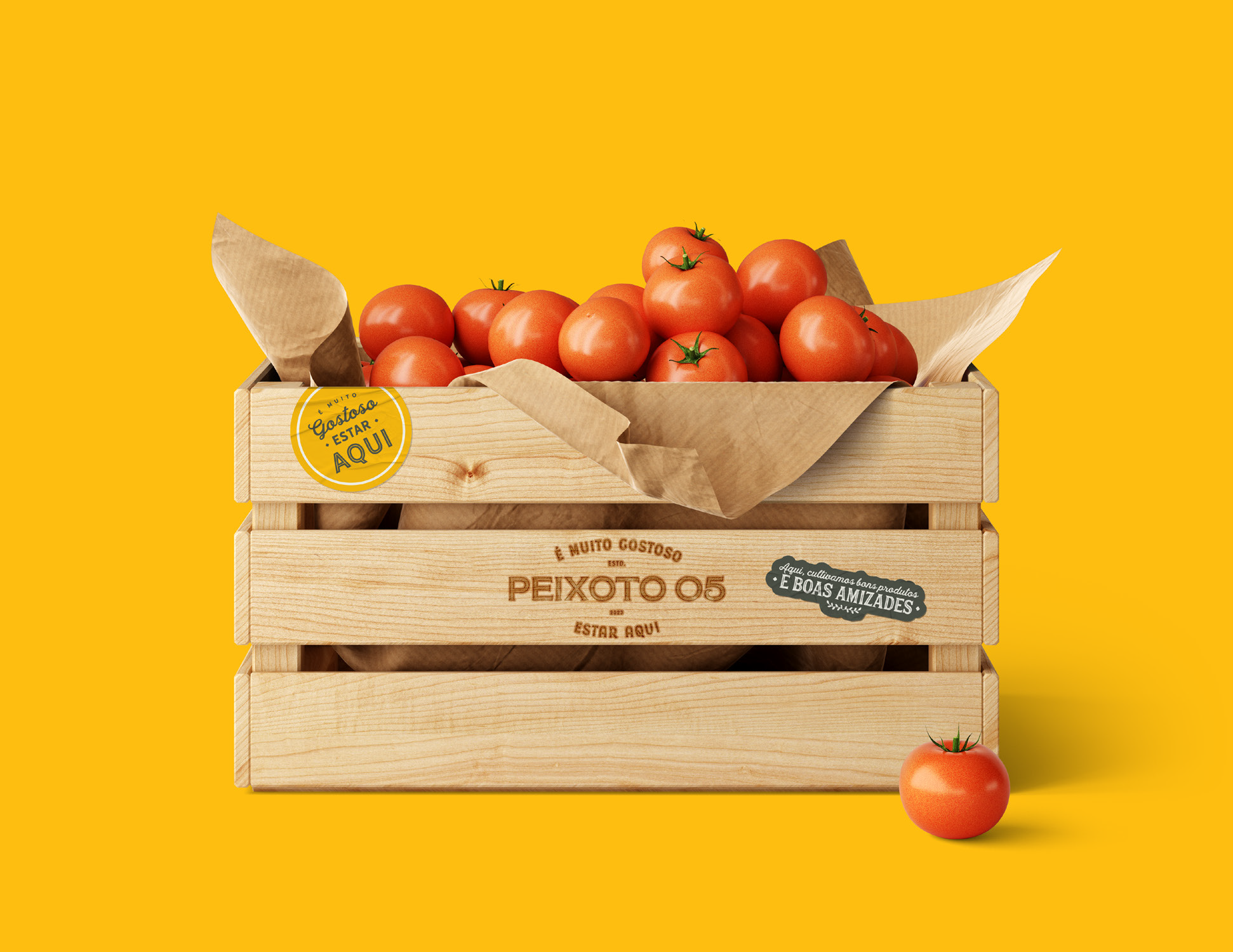 Galeria - PEIXOTO 05 - 11